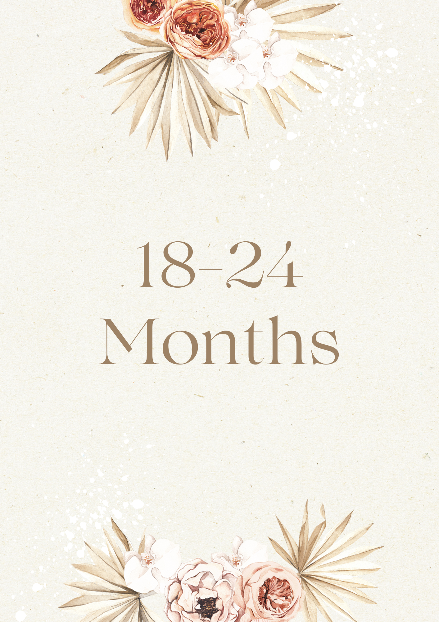 18–24 Months