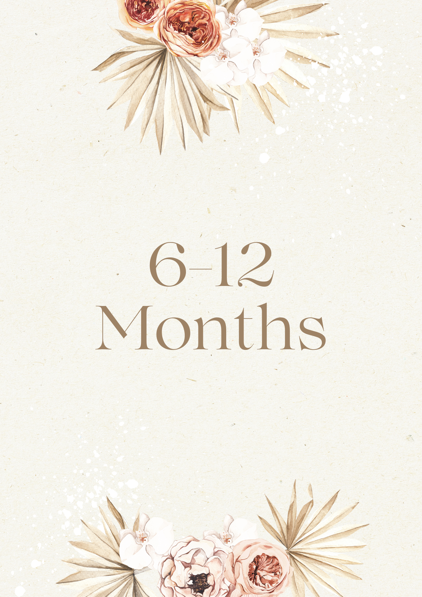6–12 Months